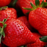 Strawberry - Pegasus